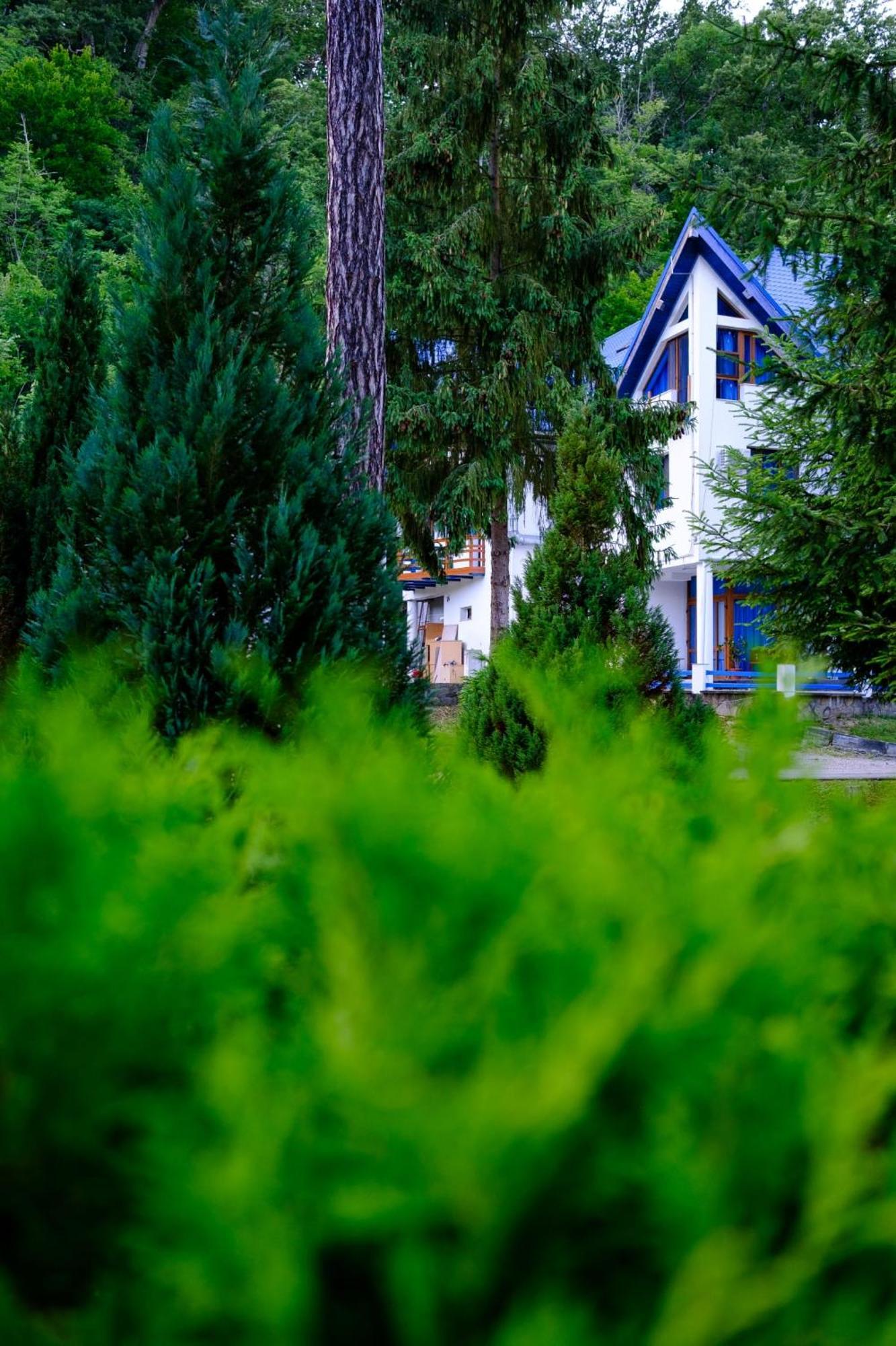 Hotel Parc Geoagiu Băi Εξωτερικό φωτογραφία